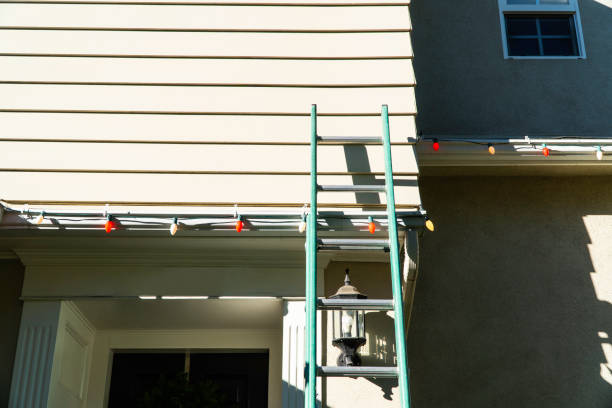 Best Brick Veneer Siding  in Llender, CA