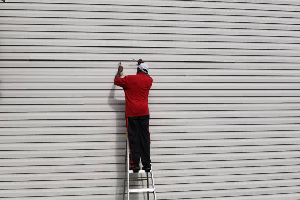 Best Aluminum Siding Installation  in Llender, CA