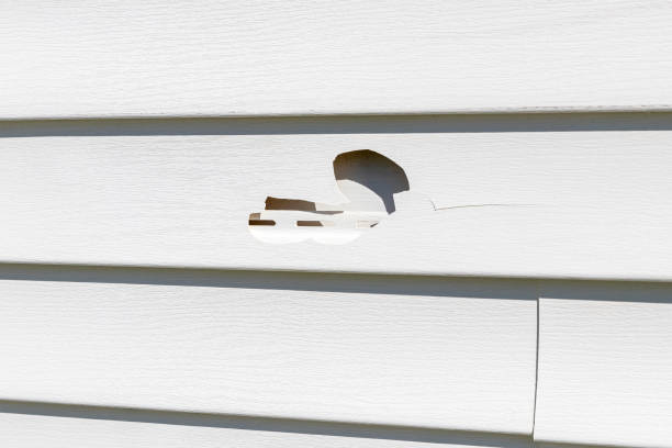 How To Choose The Right Materials for Your Siding Installation in 'Callender, CA